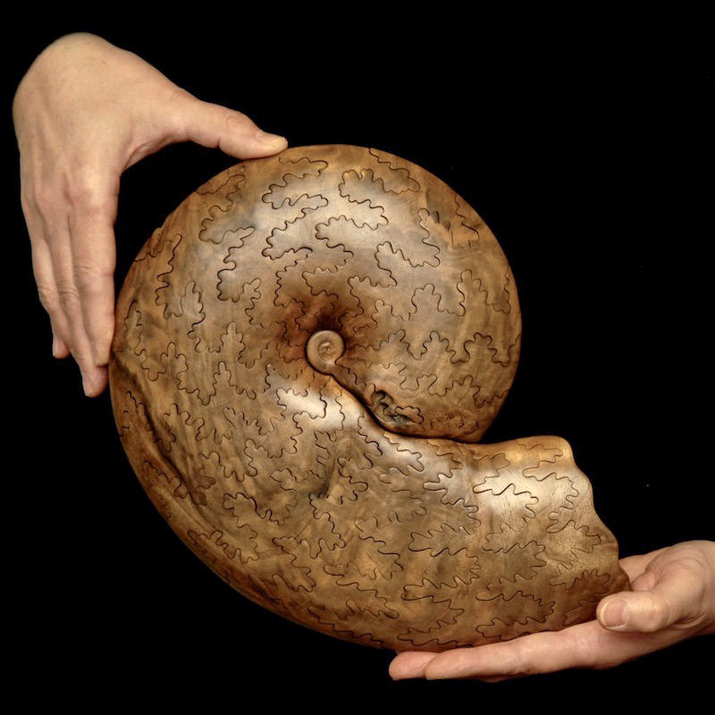 6.Large Ammonite Sutures 3